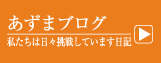 あずま四兄弟の情熱日記